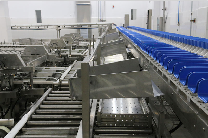 1630488890560187.jpg 18.jpg